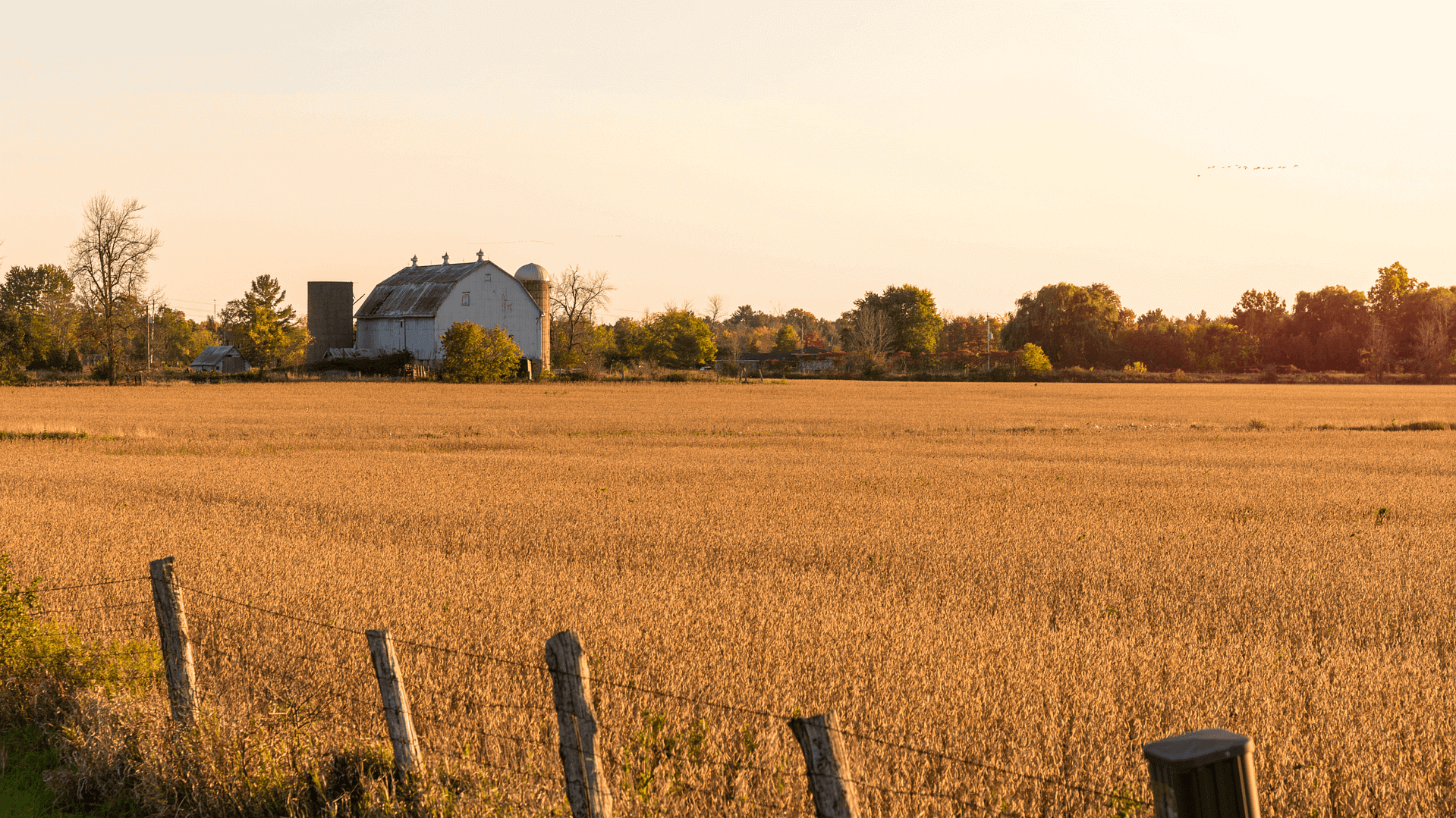 agricultural evaluation